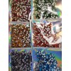 Fizzle Sizzle Design 6 colors pride rainbow Crystals Flatback Glass