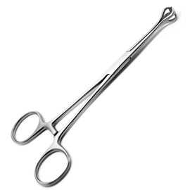 Babcock Tissue Forceps 6.4" Surgical Intestinal Veterinary Stainless Steel Instruments