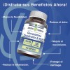 Amazing Nutrition Glucosamine Chondroitin Msm 240 Cápsulas Sabor Sin Sabor