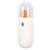 Nano Mist Sprayer Handheld 250mAh USB Rechargeable Nano Mister Facial