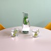 Cloudnola Double Wall Insulated Carafe and Glasses Set, Clear, 34oz