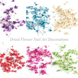 SILPECWEE 8 Boxes Dried Flowers for Nails Mini Real Nail Flowers 3D Dried Flowers Nail Stickers Nail Decor Manicure Design Nail Decorations for Makeup DIY Craft Accessories