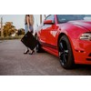 Wielganizator Driver's Velour Doormat Suitable for Skoda Scala (2019-) Hatchback