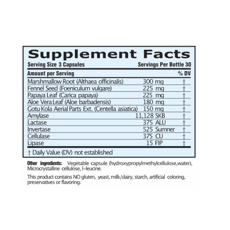 Enzyme Gastro with Enzymes