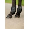 AK Pro-Tec Fetlock Horse Boots Protective Gear and Training Equipment