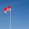Runesol Leicestershire Flag, 91x152cm, 3ft x 5ft, 4 Grommets, Eyelet