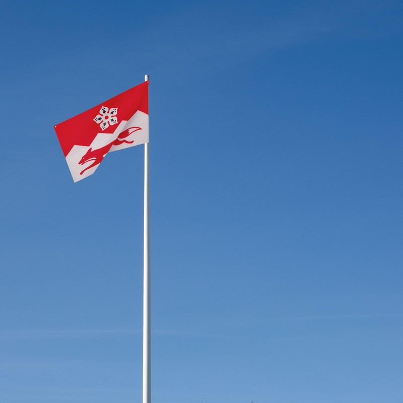 Runesol Leicestershire Flag, 91x152cm, 3ft x 5ft, 4 Grommets, Eyelet