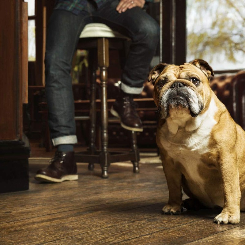 BULLDOG 2-in-1 Barbe Shampoo Original 200 ml - 1 pack