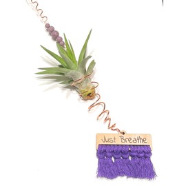Just Breathe Hanging Wire Wrapped Air Plant Holder, Handmade Artisan Tillandsia Display Decor (Purple)