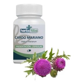 Semillas De Cardomariano Pulverizadas 120 Caps