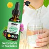 Lymphatic Drainage Supplements Drops - Organic Lymphatic Support Liquid Drops