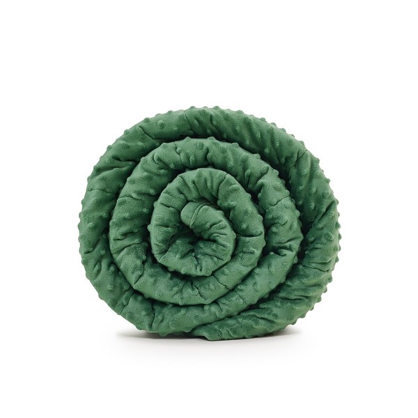 TONGDADA Minky Weighted Blanket | 40''x60'',10lbs | Cozy and Soft
