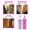 Aphogee Hair Care Double Bundle – Two-Step Protein Treatment (16