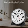 FAMICOZY Automatically Backlighted Alarm Clock,Silent No Ticking for Seniors Vision