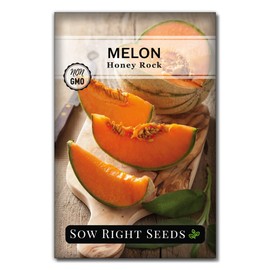 Sow Right Seeds - Honey Rock Melon Seed for Planting  - Non-GMO Heirloom Packet with Instructions to Plant a Home Vegetable Garden