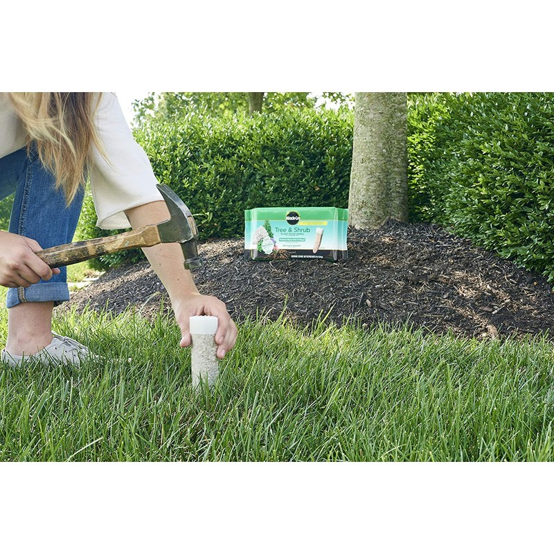 Miracle-Gro Tree & Shrub Fertilizer Spikes - 12 PK -