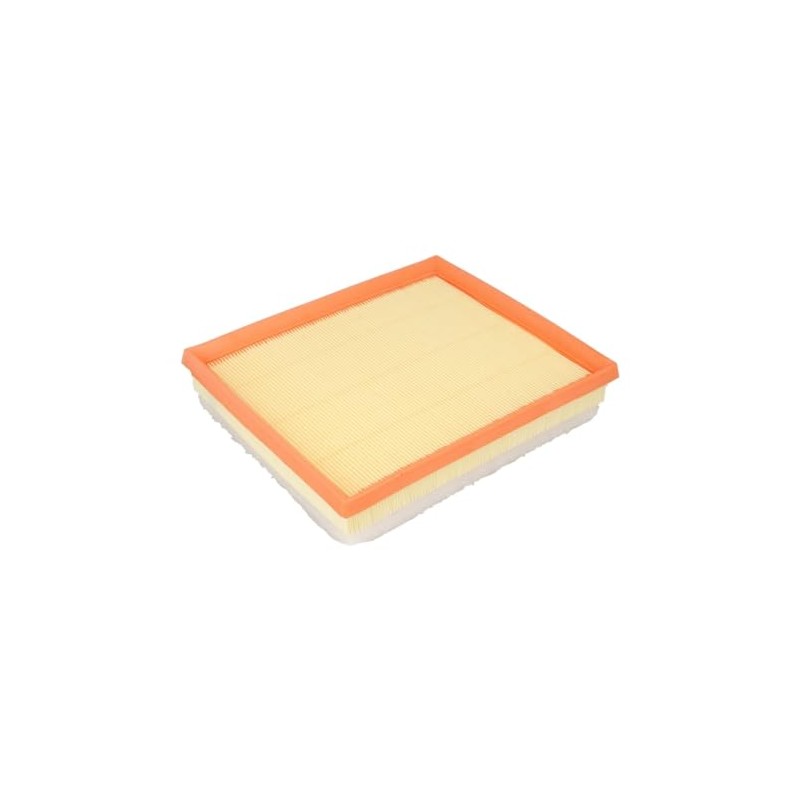 FILTRON AP196/8 Luftfilter