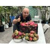 Cactus 9 Delicious Dragon Fruit cuttings 8-14 inches long check