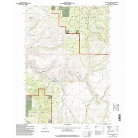 YellowMaps Wildcat Point OR topo map, 1:24000 Scale, 7.5 X 7.5 Minute, Historical, 1995, Updated 1998, 26.8 x 22 in - Tyvek