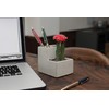 Kikkerland Concrete Planter and Desktop Stationery Organiser (Small)