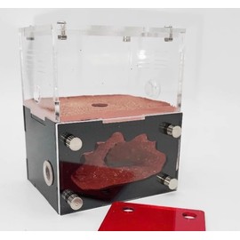 Acrylic Ant Farm Terrarium – Formicarium Ant Nest Habitat System, Observation Chambers for Live Ants & Queen – Educational for Adults