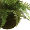Nearly Natural Leather Fern with Mossy Hanging Basket (Indoor/Outdoor) (Set