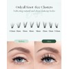 Lash Clusters Eyelash Extension Pre-styled Natural Lashes Clusters C Curl