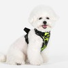 Puppia Battle Dog Harness H Sturdy Adjustable Neck and Chest
