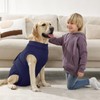 Kuoser Dog Surgery Suit Female Spay, Dog Recovery Suit Male