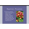 Hypericum Calendula Cream 6 pack