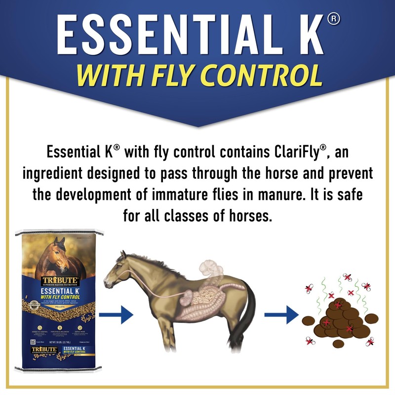 TRIBUTE Essential K Ration Balancer Horse Feed with Fly Control,