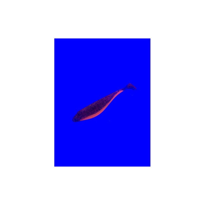 Major Fish Rabaza Shad Rubber Fish 10 cm Pack of