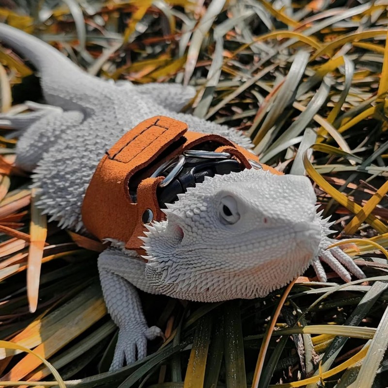 3 Pack Bearded Dragon Harness and Leash Set - Adjustable