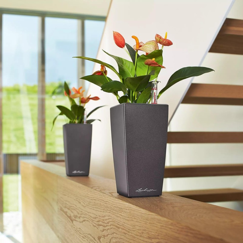 Lechuza “MA x I-Cube” Table Planter with Sub-irrigation System, Single