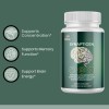 Pelican Vitamins SYNAPTIGEN- Brain Support- 2 Bottles-120 Capsules