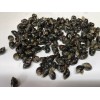 50 Nassarius Saltwater Snails Fish Tank Aquarium Filter Sump Cleaner