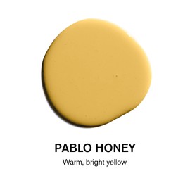 BACKDROP | Premium Interior Paint | Standard Semi Matte, Low Sheen Finish | Self-Priming, Low VOC, Green Wise Certified | PABLO HONEY – Warm, Bright Yellow | 1 Gallon