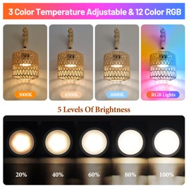 NOVCAND Battery Operated Wall Sconce Set of Two, Rechargeable Rattan Wall Sconces with Remote RGB 15 Colors Dimmable, Farmhouse Boho Wall Lights for Bedroom Living Room Entryway