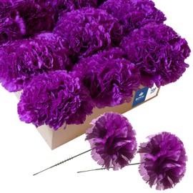 Royal Imports Artificial Carnations, Silk Faux Flowers, for Funeral Arrangements, Wedding Bouquets, Cemetery Wreaths, DIY Crafts - 100 Single 5" Stems - Purple