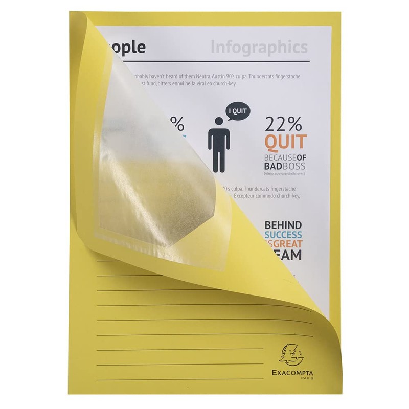 Exacompta 50250E Pack of 25 Window Folders Super PEFC Certified
