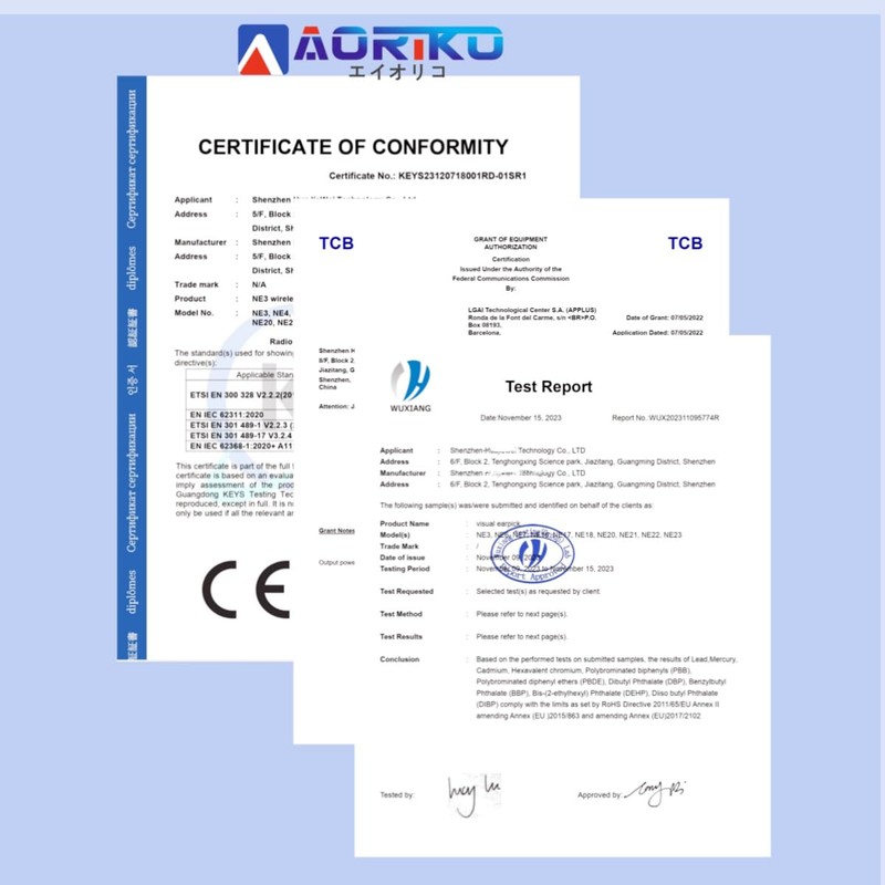 Aoriko スマート耳かき カメラ 2024新モデル 高精度画質 防水 Type-c充電式 APP/簡単Wifi接続 イヤースコープ 耳搔き