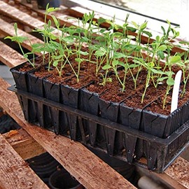 Deep Rootrainers Kit - Seed and Cutting Propagation Kit (32 cell, 5 inches deep)