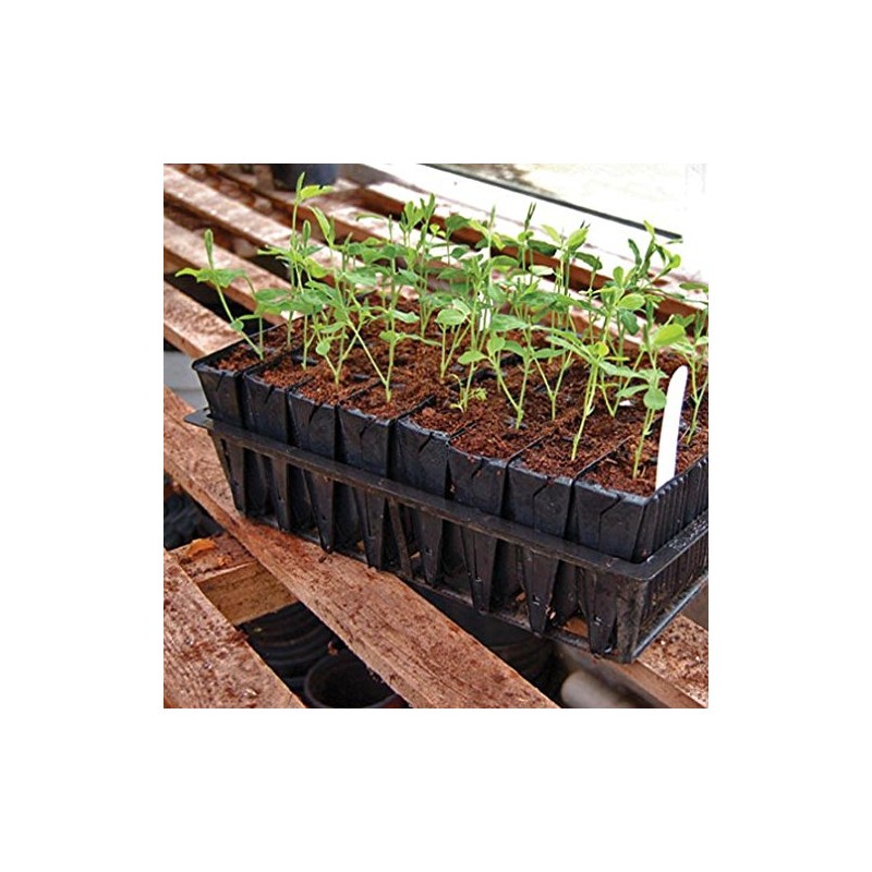 Deep Rootrainers Kit - Seed and Cutting Propagation Kit (32