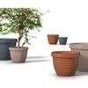 Scheurich Country Star Planter