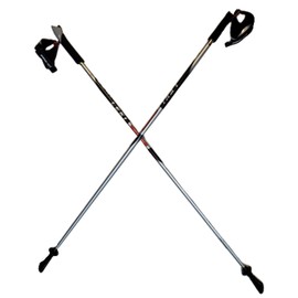 LEKI Nordic Walking Pacer Ultra Lightweight HM Carbon 120cm Silver