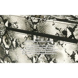 Berkut Double Zipper, Second Bag, Clutch Bag, Handbag, Formal, python white