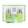 CareZone 케어존 피큐어 포어 튜닝 EX 2종세트 스킨 로션 피지 모공 지성피부 Carezone P-Cure Pore Tuning EX 2-Piece Set Skin Lotion Sebum Pore Oily Skin