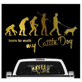 siviwonder Australian Cattle Dog ACD Evolution Car Sticker Film Metallic Gold Size 45 cm