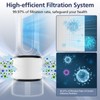 2-Pack HP01 HP02 HEPA Filter Compatible with Dyson Pure Hot