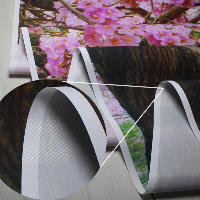 Photography Background